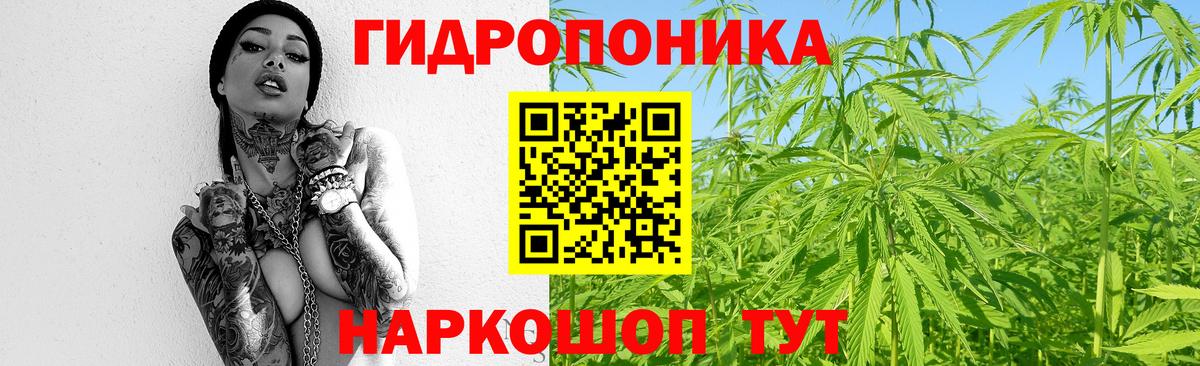 МАРИХУАНА конопля Орск